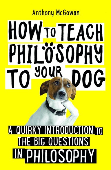 Anthony McGowan - How to Teach Philosophy to Your Dog, Häftad