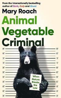 bokomslag Animal Vegetable Criminal