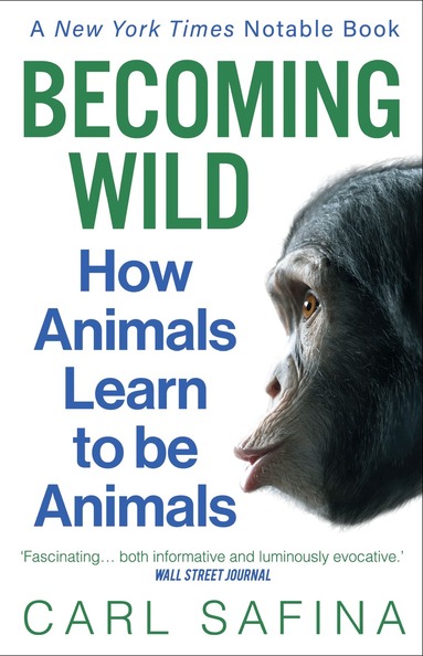 Carl Safina - Becoming Wild, Häftad