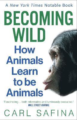 Carl Safina - Becoming Wild, Häftad