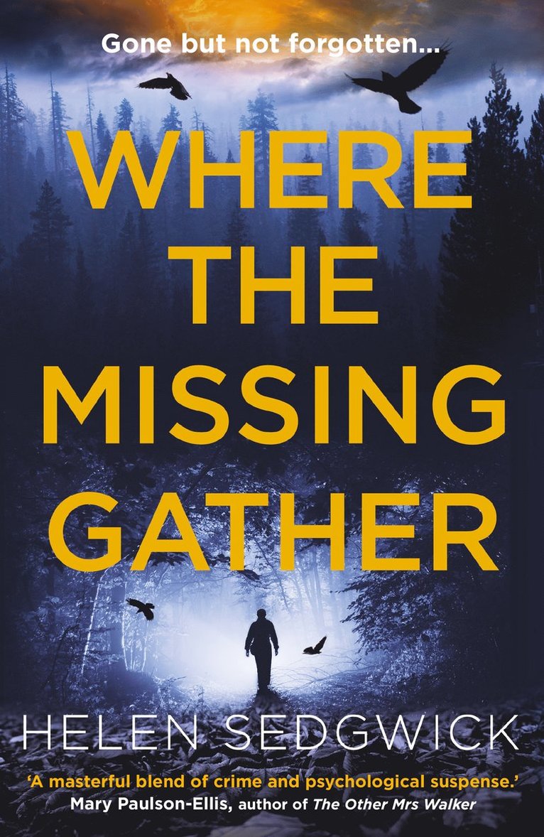 Helen Sedgwick - Where the Missing Gather, Häftad