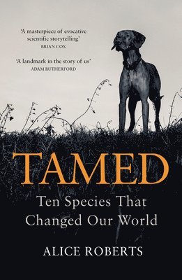 Alice Roberts - Tamed, Häftad