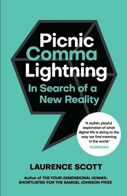 Picnic Comma Lightning 1