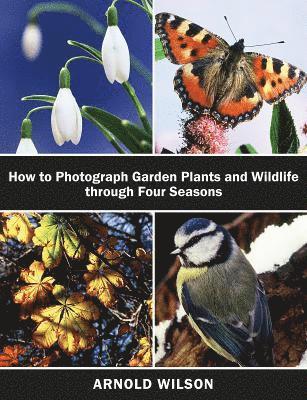 How To Photograph Garden Plants and Wildlife Through Four Seasons