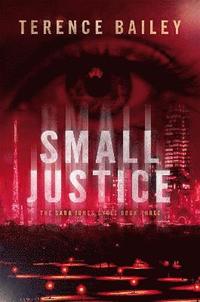 bokomslag Small Justice