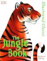 bokomslag Illustrated classic: the jungle book