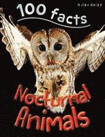 bokomslag Nocturnal Animals