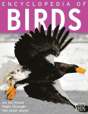 Jinny Johnson - Encyclopedia of Birds, Häftad
