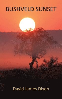 Bushveld Sunset 1