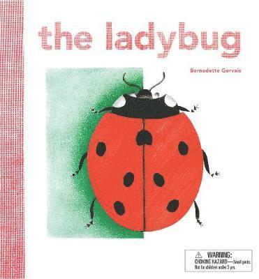 Ladybird