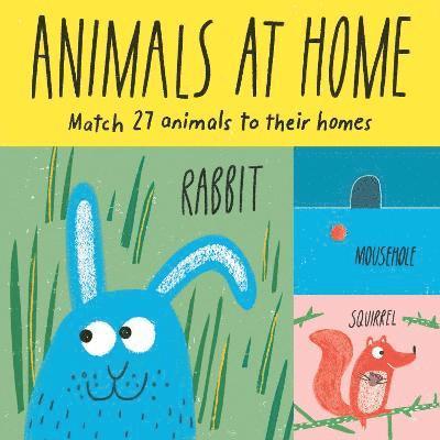 Animals at Home 1