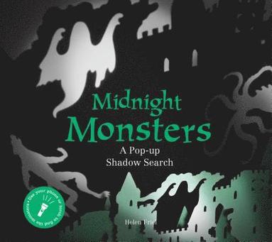 bokomslag Midnight Monsters: A Pop-Up Shadow Search