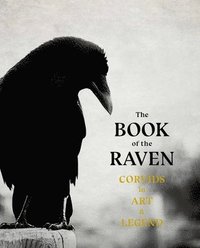 bokomslag The Book of the Raven