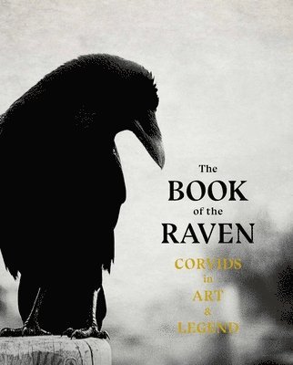The Book of the Raven 1