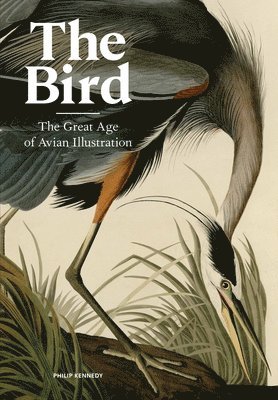 Philip Kennedy - Bird, Inbunden