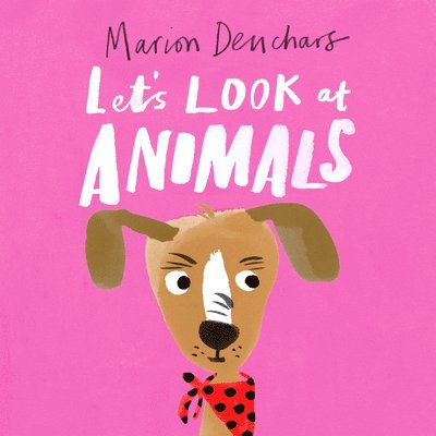 Marion Deuchars - Let's Look At... Animals: Board Book, Kartonnage