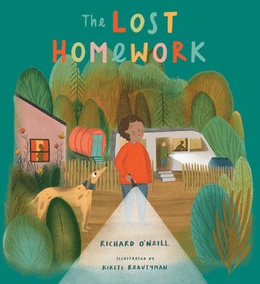 bokomslag Lost Homework