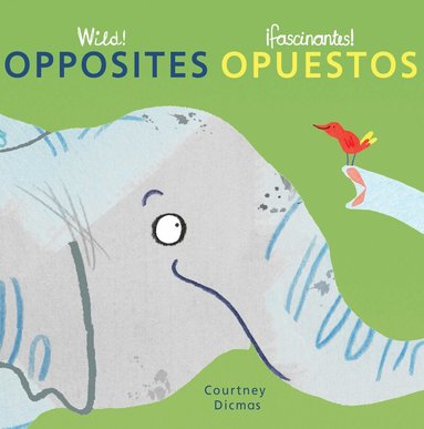 Courtney Dicmas - Opposites/Opuestos, Kartonnage