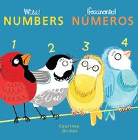 bokomslag Numbers/Numeros