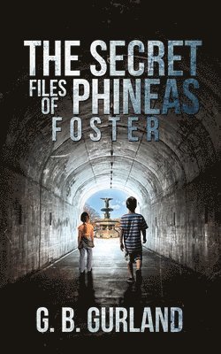 bokomslag Secret Files of Phineas Foster