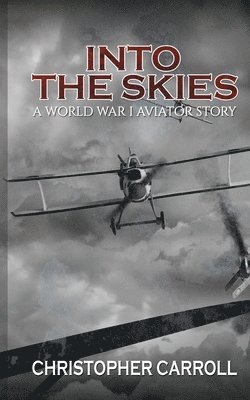 bokomslag Into the Skies: A World War I Aviator Story