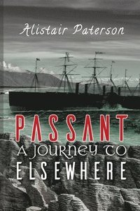 bokomslag Passant: A Journey to Elsewhere