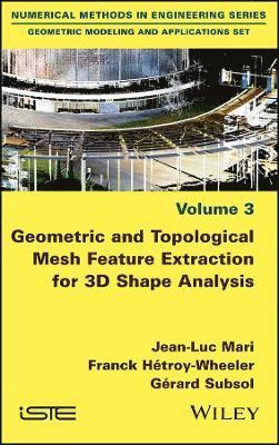 Jean-Luc Mari, Franck Hétroy-Wheeler, Gérard Subsol - Geometric and Topological Mesh Feature Extraction for 3D Shape Analysis, Inbunden