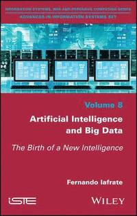 bokomslag Artificial Intelligence and Big Data