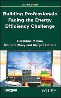 bokomslag Building Professionals Facing the Energy Efficiency Challenge