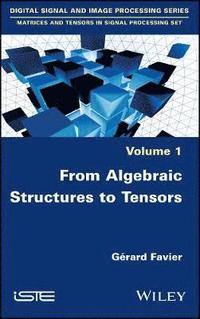 bokomslag From Algebraic Structures to Tensors