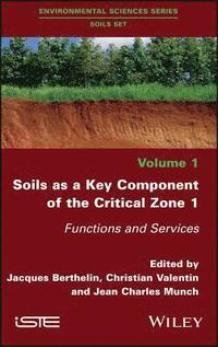 bokomslag Soils as a Key Component of the Critical Zone 1