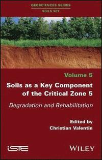 bokomslag Soils as a Key Component of the Critical Zone 5