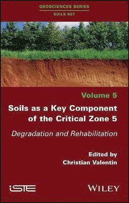 bokomslag Soils as a Key Component of the Critical Zone 5