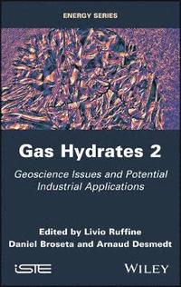 bokomslag Gas Hydrates 2