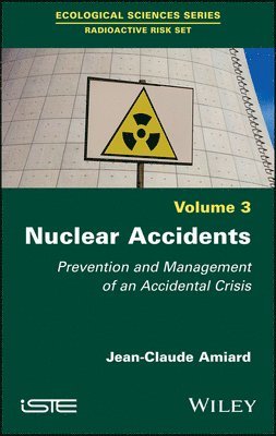 bokomslag Nuclear Accidents