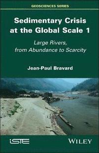 bokomslag Sedimentary Crisis at the Global Scale 1