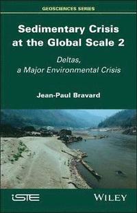 bokomslag Sedimentary Crisis at the Global Scale 2