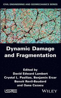 bokomslag Dynamic Damage and Fragmentation