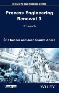 bokomslag Process Engineering Renewal 3
