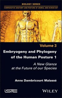 bokomslag Embryogeny and Phylogeny of the Human Posture 1