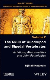bokomslag The Skull of Quadruped and Bipedal Vertebrates