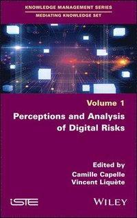 bokomslag Perceptions and Analysis of Digital Risks