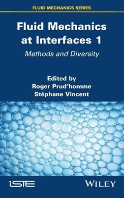 Roger Prudhomme, Roger Prud'homme, Stephane Vincent - Fluid Mechanics at Interfaces 1, Inbunden
