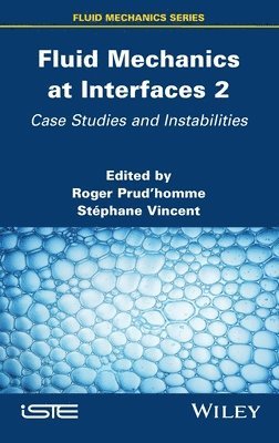 Roger Prudhomme, Roger Prud'homme, Stephane Vincent - Fluid Mechanics at Interfaces 2, Inbunden