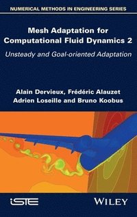 bokomslag Mesh Adaptation for Computational Fluid Dynamics, Volume 2