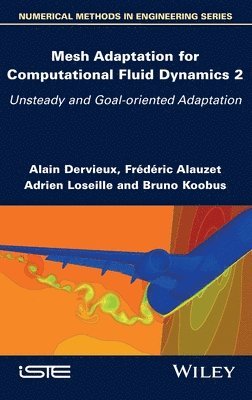 Alain Dervieux, Frederic Alauzet, Adrien Loseille, Bruno Koobus - Mesh Adaptation for Computational Fluid Dynamics, Volume 2, Inbunden