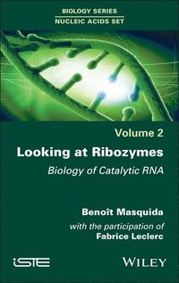 bokomslag Looking at Ribozymes