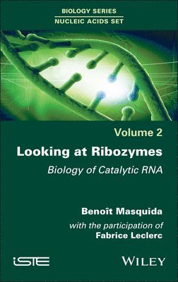 Looking at Ribozymes 1