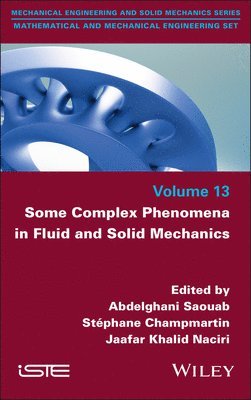 Abdelghani Saouab, Abdelghani Saouab, Stephane Champmartin, Jaafar Khalid Naciri - Some Complex Phenomena in Fluid and Solid Mechanics, Inbunden