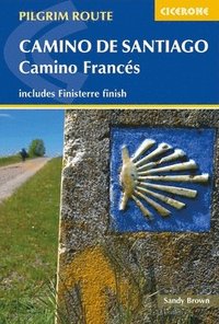 bokomslag Camino de Santiago: Camino Frances